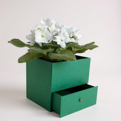 Cesta Cartonada com gavetinha