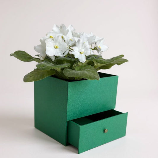 Cesta Cartonada com gavetinha